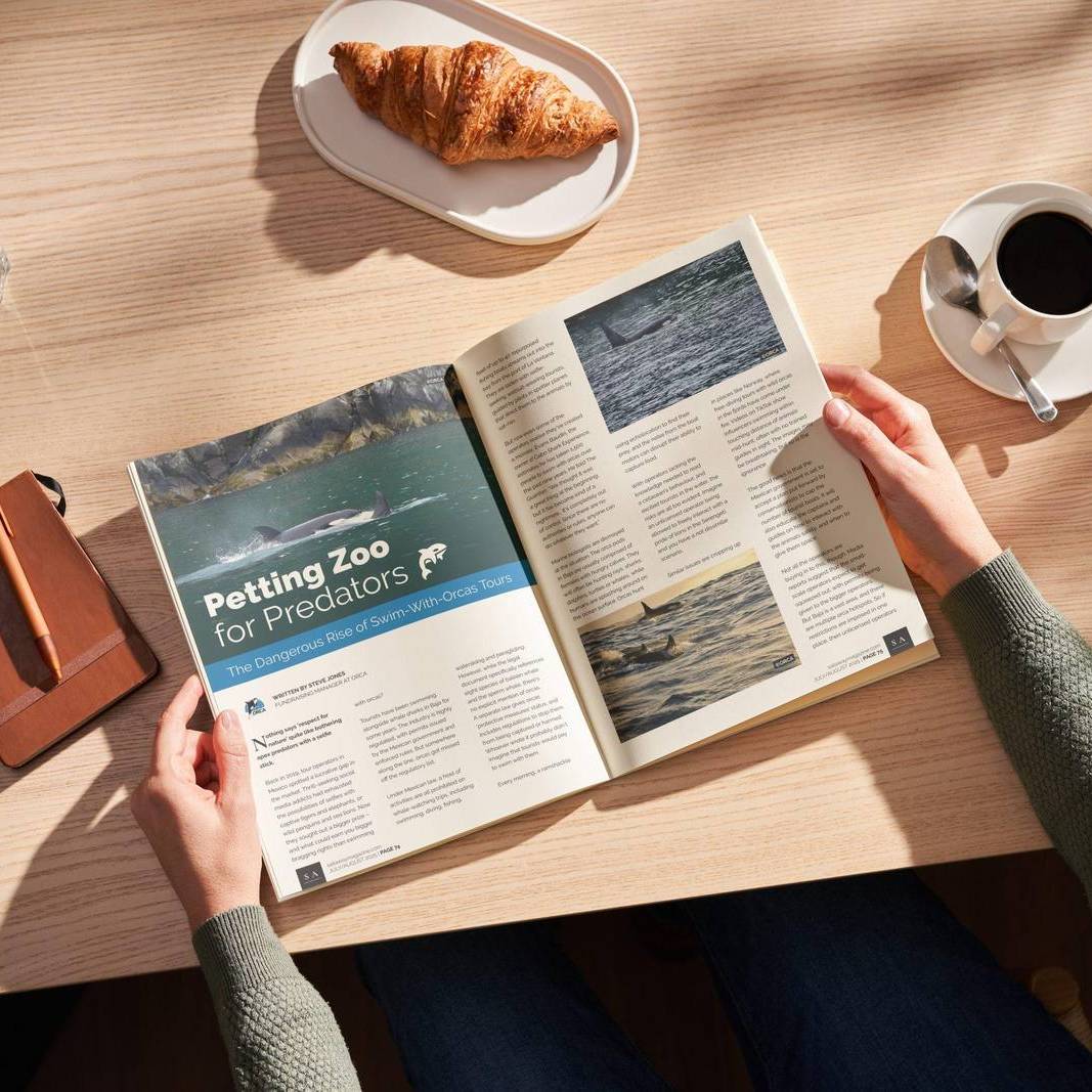Sail Away Cruise Travel Magazine Issue 13 - Printed Version