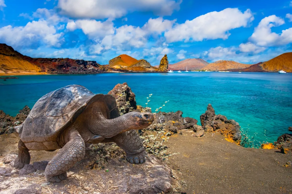 Galápagos Island Cruises - © Copyright: Travel Off Path
